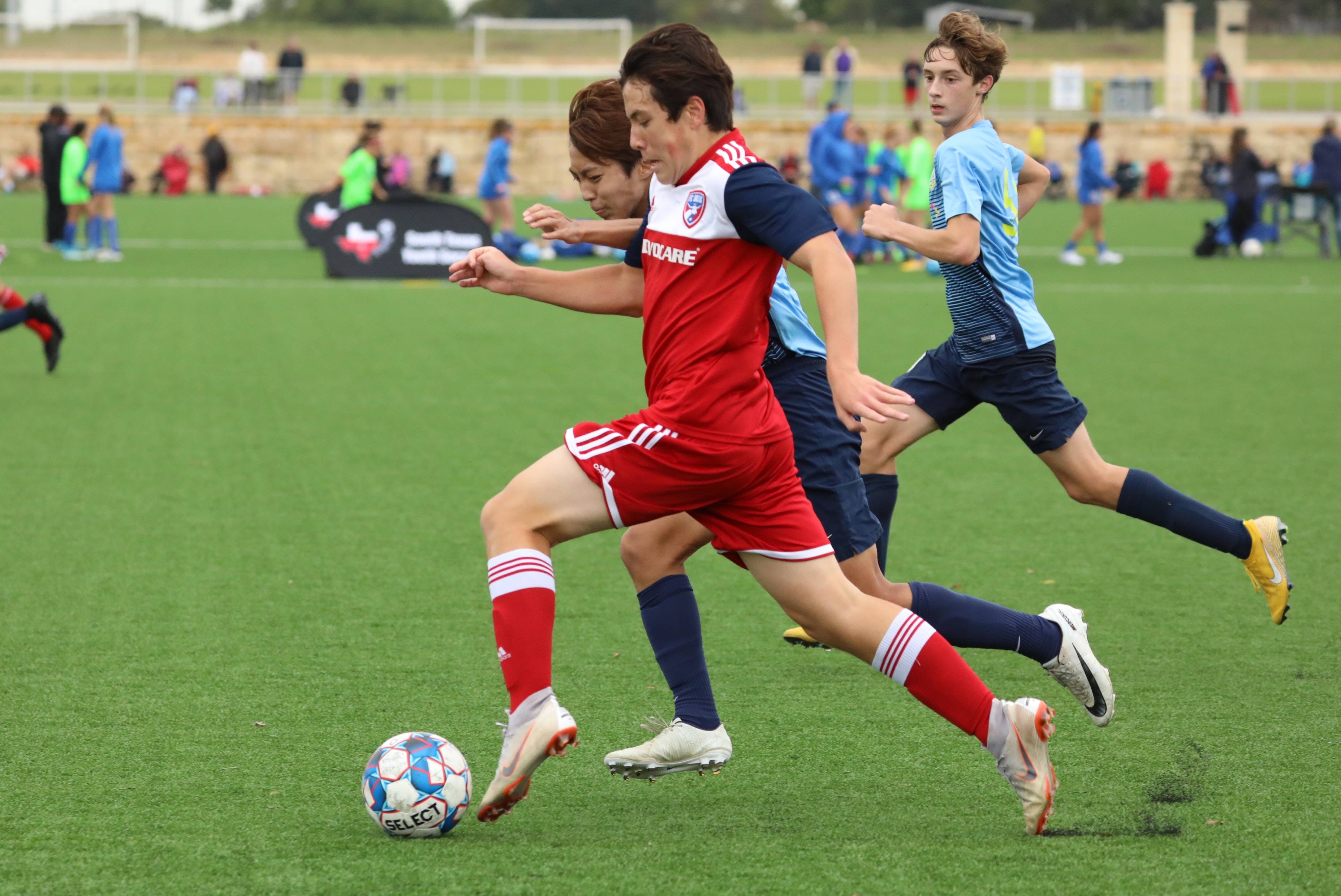 大多数球迷 大多数球迷